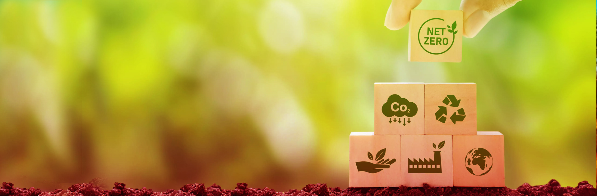 Going Green: How Migrating Can Reduce Your Carbon Footprint